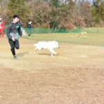 かけっこゲーム