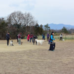 だるまさんが転んだ