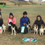 JKC中国ブロックアジリティー競技会 2018年2月3日