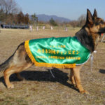 ２部警戒プロ　村上カエデ　１席チャンピオン