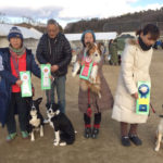 JKC兵庫県トレーナーズクラブアジリティー競技会2018年2月17日