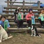 JKC高知中央アジリティークラブアジリティー競技会2018年3月3日