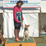 ビギナー2 佐々木＆イーグル ★1席入賞