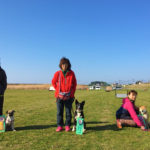 JKC肥後グランシアントレーナーズクラブアジリティー競技会2018年3月10日