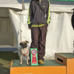 ビギナー2 中川&蘭丸 ★2席入賞