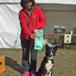 アジリティー2度 佐々木＆ソラ★5席入賞