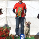 AT1L 今田＆善★3席入賞