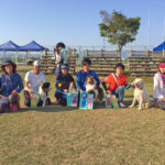 JKC四国ブロックアジリティー競技会4月21日（土）