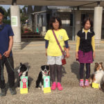 JKC京都京洛トレーナーズクラブアジリティー競技会2018年5月26日