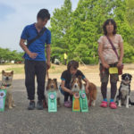 JKC京都長岡京トレーナーズクラブアジリティー競技会2018年5月28日