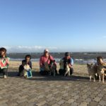 JKC兵庫オールドッグトレーナーズクラブアジリティー競技会2018年10月6日（土）