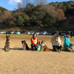 JKC山口県西部ドッグメイトアジリティークラブアジリティー競技会