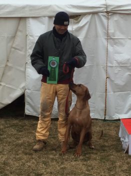 家庭犬初等科アマチュアの部 上野＆ボウ★4席入賞