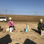 JKC中国ブロックアジリティー競技会2019年2月2日