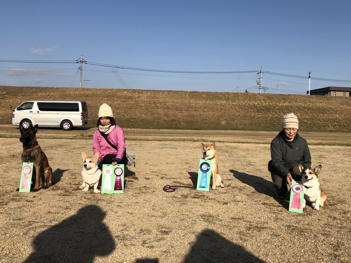 JKC中国ブロックアジリティー競技会