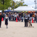 令和元年どうぶつ愛護のつどい