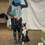 JKC北九州ドッグスポーツトレーナーズクラブアジリティー競技会2019年12月1日