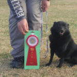 JKC中国ブロック訓練競技会2020年2月2日