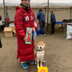 長崎ウィズワンアジリティークラブアジリティー競技会2020年2月9日