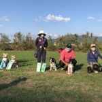 JKC北九州トレーナーズクラブアジリティー競技会2020年10月18日