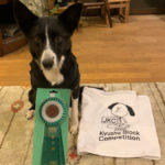 JKC沖縄全犬種トレーナーズクラブアジリティー競技会 2020年12月19日(土)