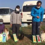 福岡アペックスアジリティークラブアジリティー競技会2021年2月20日