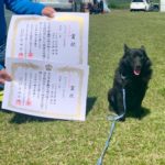 レイ(シッパーキー)