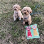 AG1M★吉田＆カンカン