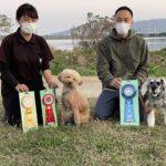 JKC徳島北アジリティークラブ競技会（2021年11月20日）