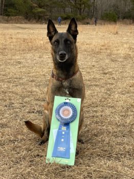 田中泉★CD2アマチュア