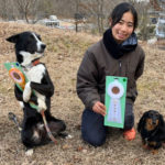 JKC西宮ジャーマンシェパードドッグクラブアジリティー競技会2021年12月19日