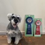 JKC福岡アペックスアジリティークラブアジリティー競技会