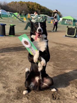 AG2L★木本テトラ