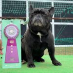 AT2S★村上＆マーくん