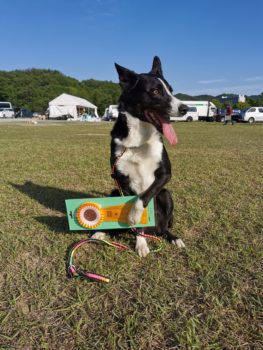 JP3L★木本テトラ