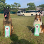 JKC京都京洛トレーナーズクラブ訓練競技会2022年5月28日(土)