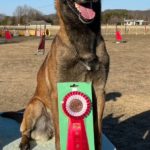 第3部CD2アマチュアの部★田中＆いずみちゃん