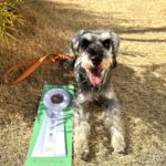 JP1S★水沼エルマー