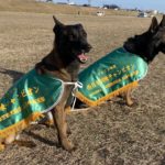 春季西日本訓練チャンピオン決定竸技会2023年2月26日