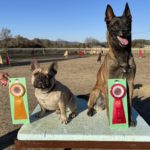 JKC高知トレーナーズクラブ訓練競技会2023年2月18日