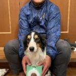 岐阜トレーナーズクラブアジリティー競技会2023年4月16日