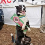 JP3L★木本テトラ