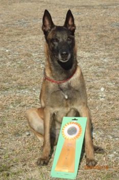 オビディエンス１★田中いずみ