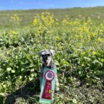 AG2S★水沼エルマー