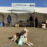 長崎ウィズワンアジリティークラブアジリティー競技会2024年2月18日