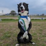 九州ブロック服従訓練競技会2024年3月3日