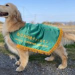 PD春季西日本訓練チャンピオン決定競技会2024年2月25日