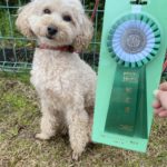 AG1S★深松＆ボタン