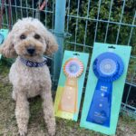 AG2＆JP2M★深松＆カンカン