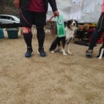 JP2L★須澤あもる